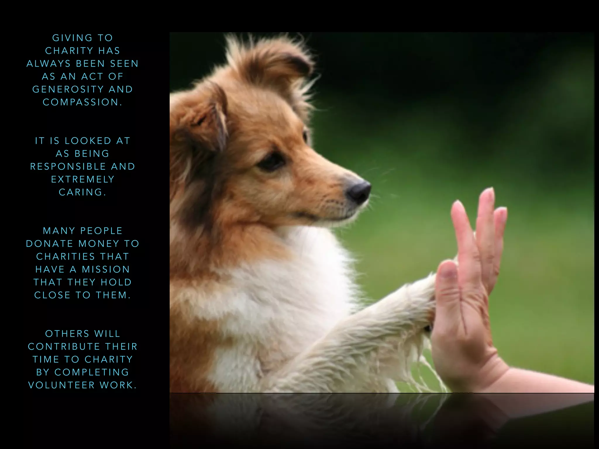 G I V I N G T O
C H A R I T Y H A S
A LWA Y S B E E N S E E N
A S A N A C T O F
G E N E R O S I T Y A N D
C O M PA S S I O N .
I T I S L O O K E D A T
A S B E I N G
R E S P O N S I B L E A N D
E X T R E M E LY
C A R I N G .
M A N Y P E O P L E
D O N A T E M O N E Y T O
C H A R I T I E S T H A T
H A V E A M I S S I O N
T H A T T H E Y H O L D
C L O S E T O T H E M .
O T H E R S W I L L
C O N T R I B U T E T H E I R
T I M E T O C H A R I T Y
B Y C O M P L E T I N G
V O L U N T E E R W O R K .
 