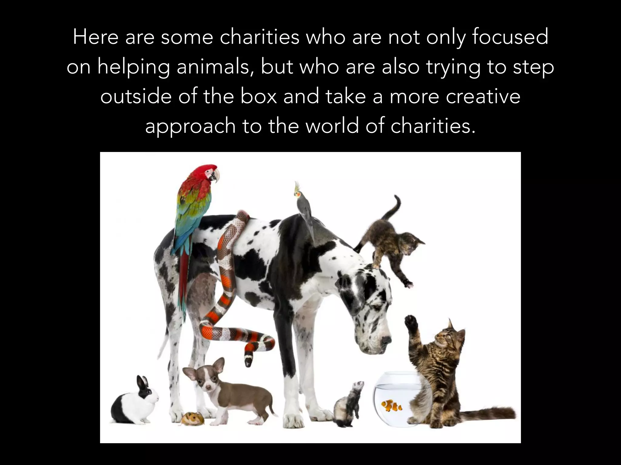 Here are some charities who are not only focused
on helping animals, but who are also trying to step
outside of the box and take a more creative
approach to the world of charities.
 