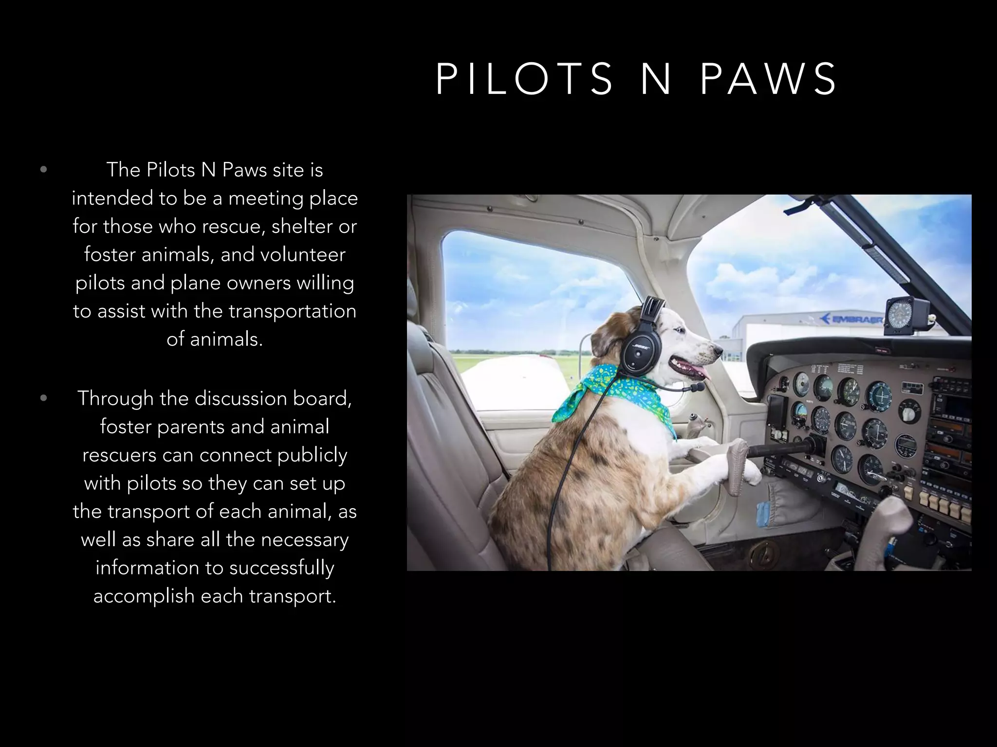 P I L O T S N PA W S
• The Pilots N Paws site is
intended to be a meeting place
for those who rescue, shelter or
foster animals, and volunteer
pilots and plane owners willing
to assist with the transportation
of animals.
• Through the discussion board,
foster parents and animal
rescuers can connect publicly
with pilots so they can set up
the transport of each animal, as
well as share all the necessary
information to successfully
accomplish each transport.
 