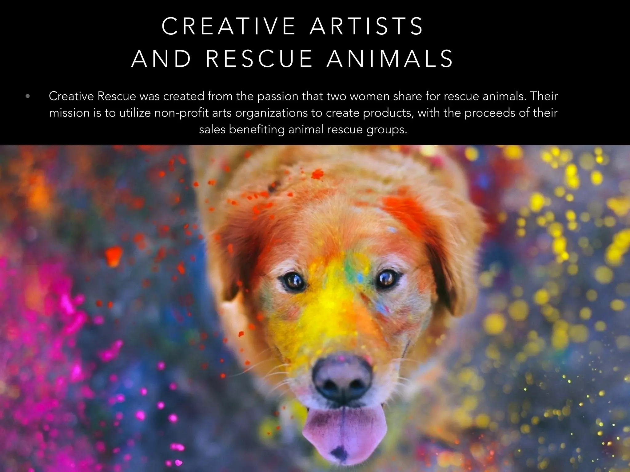 C R E AT I V E A R T I S T S
A N D R E S C U E A N I M A L S
• Creative Rescue was created from the passion that two women share for rescue animals. Their
mission is to utilize non-profit arts organizations to create products, with the proceeds of their
sales benefiting animal rescue groups.
 