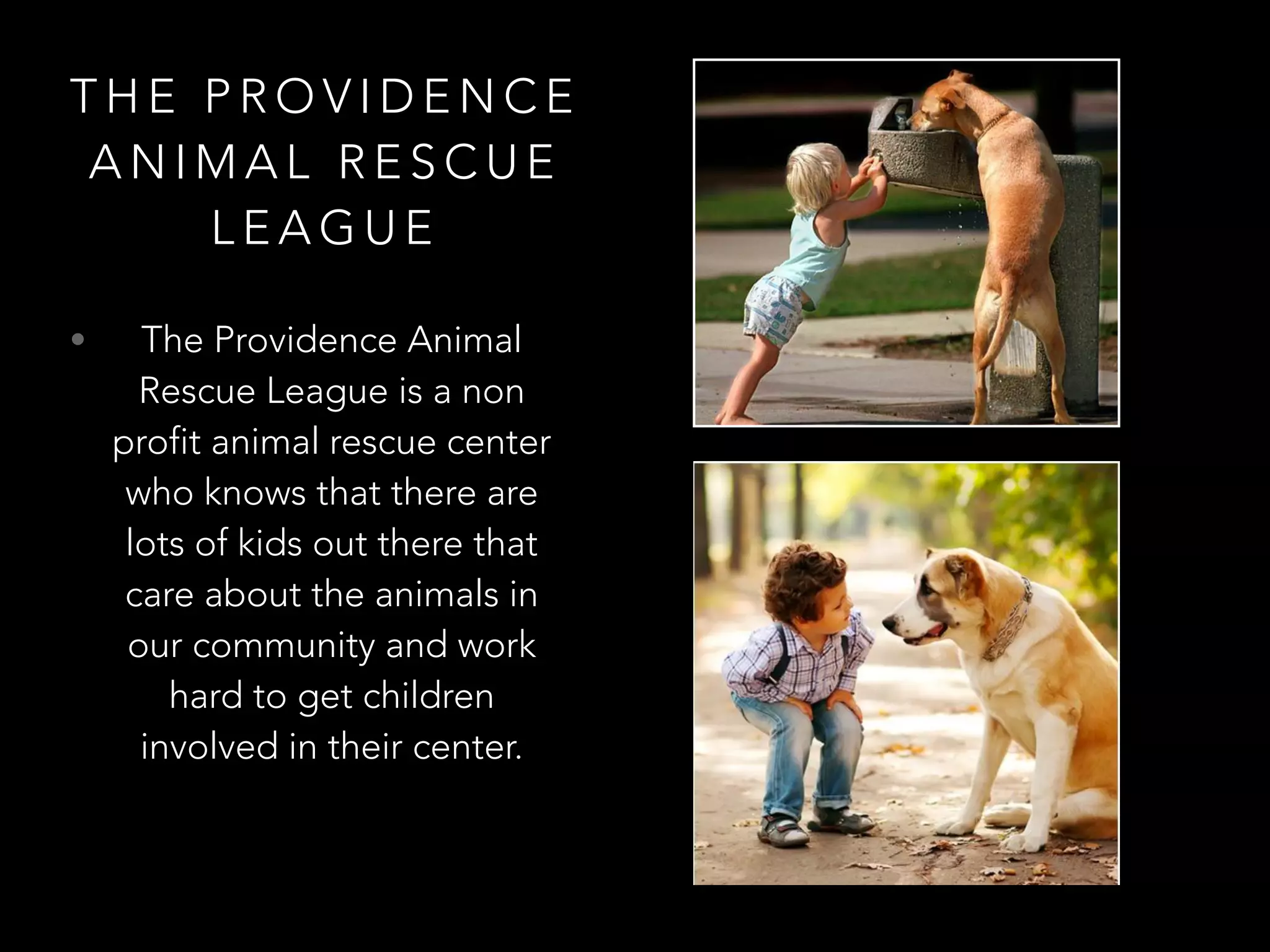 T H E P R O V I D E N C E
A N I M A L R E S C U E
L E A G U E
• The Providence Animal
Rescue League is a non
profit animal rescue center
who knows that there are
lots of kids out there that
care about the animals in
our community and work
hard to get children
involved in their center.
 