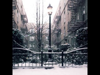 Jack Ryger: Welcome to Queens