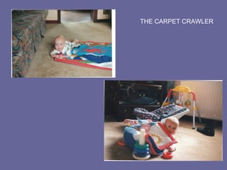THE CARPET CRAWLER
 