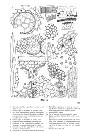 Hypanthium Inner Rim Jackson كتاب | PDF