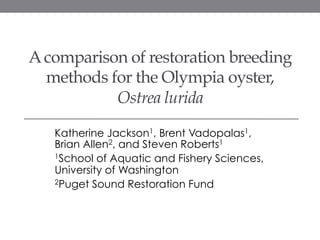 A comparison of restoration breeding 
methods for the Olympia oyster, 
Ostrea lurida 
Katherine Jackson1, Brent Vadopalas1, 
Brian Allen2, and Steven Roberts1 
1School of Aquatic and Fishery Sciences, 
University of Washington 
2Puget Sound Restoration Fund 
 