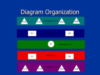 Diagram Organization 
