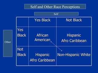 Self and Other Race Perceptions Self  Other Yes Black Not Black Yes Black African American Hispanic Afro Caribbean Not Black Hispanic Afro Caribbean Non-Hispanic White 