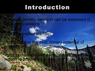 IInvestigation of the genetic basis of adaptation | PPT | Genetics ...