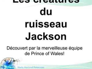 Les créatures
du
ruisseau
Jackson
Découvert par la merveilleuse équipe
de Prince of Wales!
 