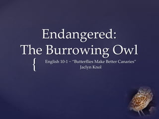 {
Endangered:
The Burrowing Owl
English 10-1 ~ “Butterflies Make Better Canaries”
Jaclyn Knol
 