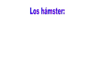 Los hámster: 