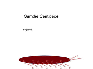 Sam the Centipede By jacob 