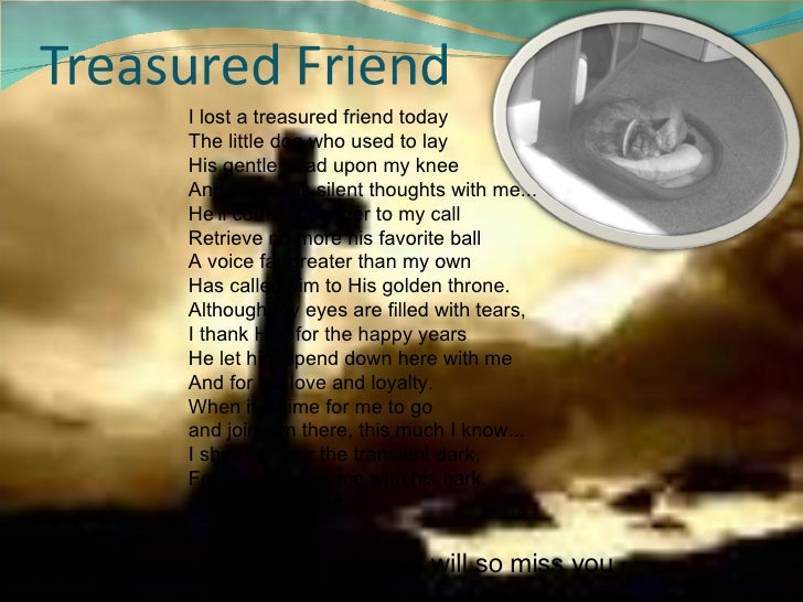 I Lost A Treasured Friend Today The Little Dog I Lost A Treasured Friend Today The Little Dog