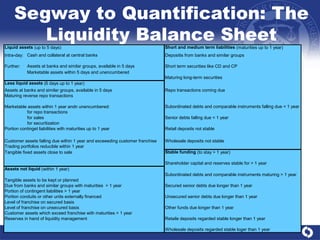 Segway to Quantification: The Liquidity Balance Sheet 
