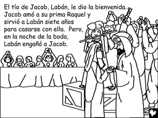 El tío de Jacob, Labán, le dio la bienvenida.
Jacob amó a su prima Raquel y
sirvió a Labán siete años
para casarse con ella. Pero,
en la noche de la boda,
Labán engañó a Jacob.
 