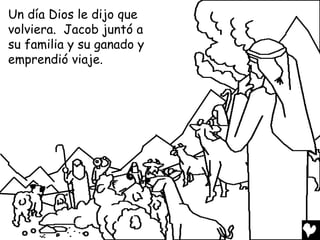 Un día Dios le dijo que
volviera. Jacob juntó a
su familia y su ganado y
emprendió viaje.
 