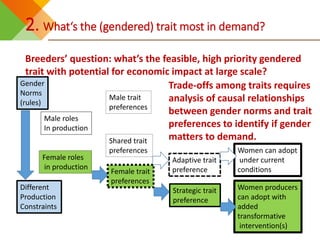Design elements for gender-responsive breeding: Starting points and unresolved issues