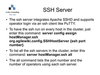 SSH Server
●   The ssh server integrates Apache SSHD and supports
    operator login via an ssh client like PuTTY.
●   To have the ssh run on every host in the cluster, just
    enter this command: server config assign
    hostManager.ssh
    org.agilewiki.config.SSHHostServer {ssh port
    number}
●   To list all the ssh servers in the cluster, enter this
    command: server hostManager.ssh all
●   The all command lists the port number and the
    number of operators using each ssh server.
 