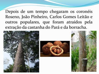 Depois de um tempo chegaram os coronéis 
Roseno, João Pinheiro, Carlos Gomes Leitão e 
outros populares, que foram atraídos pela 
extração da castanha do Pará e da borracha. 
 