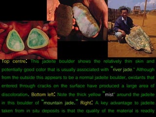 Top centre: This jadeite boulder shows the relatively thin skin and 
potentially good color that is usually associated with “river jade.” Although 
from the outside this appears to be a normal jadeite boulder, oxidants that 
entered through cracks on the surface have produced a large area of 
discoloration. Bottom left: Note the thick yellow “mist” around the jadeite 
in this boulder of “mountain jade.” Right: A key advantage to jadeite 
taken from in situ deposits is that the quality of the material is readily 
a p p a r e n t. 
 