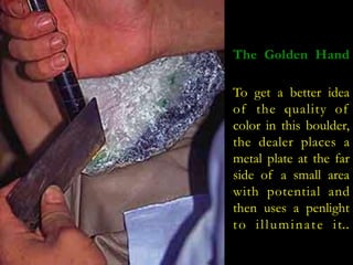The Golden Hand 
To get a better idea 
of the qual i ty of 
color in this boulder, 
the dealer places a 
metal plate at the far 
side of a small area 
with potential and 
then uses a penlight 
to i l lumina t e i t.. 
 