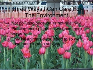 Not polluting because its not healthy. Planting more plants so we have more oxygen. Only kill animals if you need to so we have more food to survive. Three Ways I Can Care For The Environment 