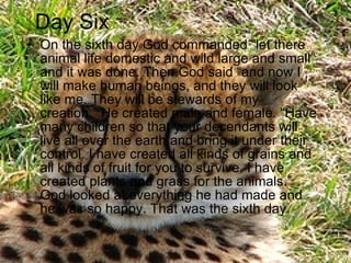 On the sixth day God commanded “let there animal life domestic and wild large and small” and it was done. Then God said “and now I will make human beings, and they will look like me. They will be stewards of my creation.” He created male and female. “Have many children so that your decendants will live all over the earth and bring it under their control. I have created all kinds of grains and all kinds of fruit for you to survive. I have created plants and grass for the animals.” God looked at everything he had made and he was so happy. That was the sixth day. Day Six 