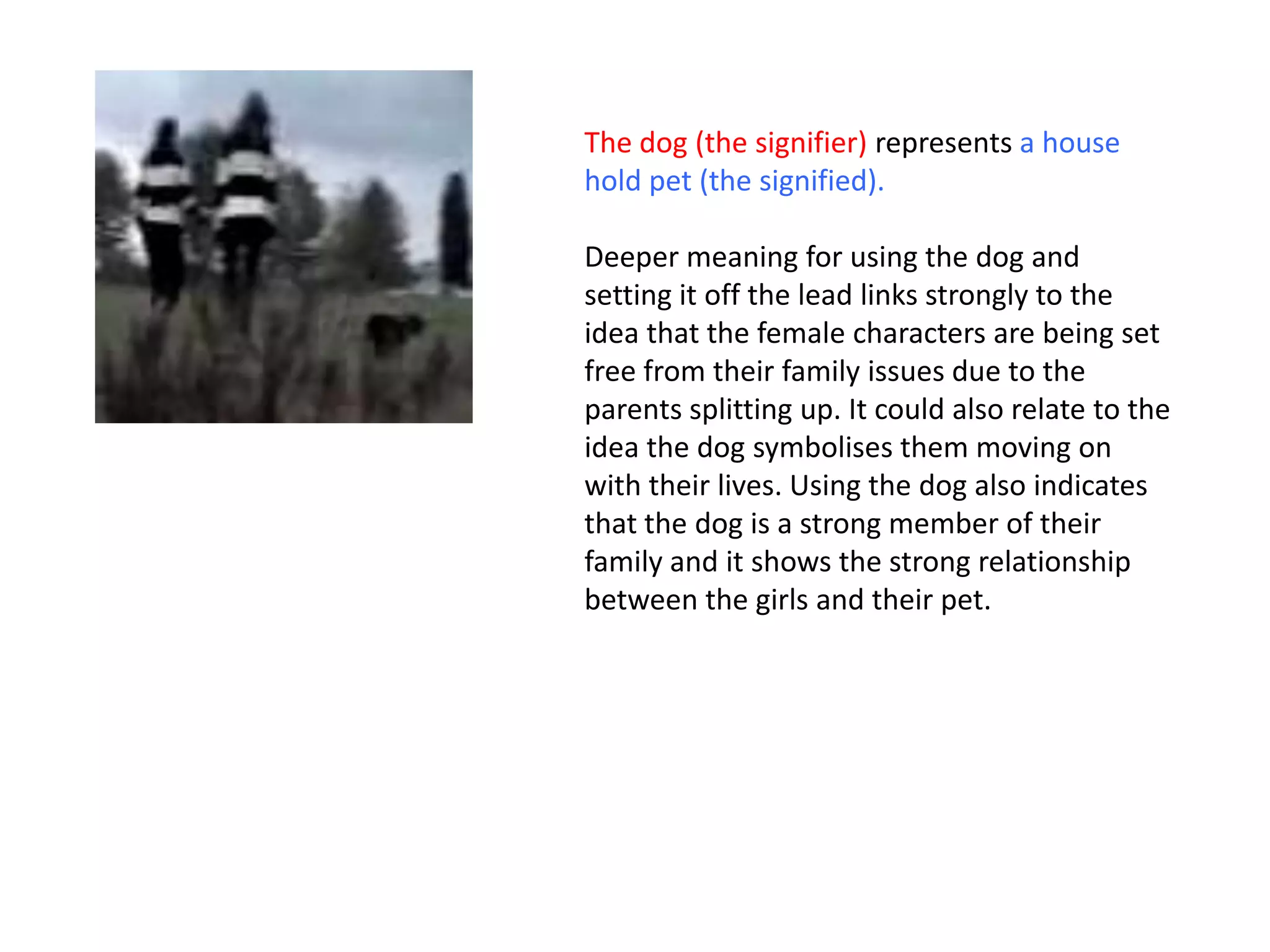 The dog (the signifier) represents a house
hold pet (the signified).

Deeper meaning for using the dog and
setting it off the lead links strongly to the
idea that the female characters are being set
free from their family issues due to the
parents splitting up. It could also relate to the
idea the dog symbolises them moving on
with their lives. Using the dog also indicates
that the dog is a strong member of their
family and it shows the strong relationship
between the girls and their pet.
 