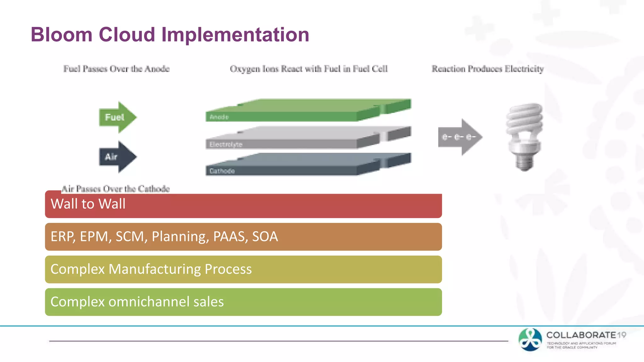 Bloom Cloud Implementation
Wall to Wall
ERP, EPM, SCM, Planning, PAAS, SOA
Complex Manufacturing Process
Complex omnichannel sales
 