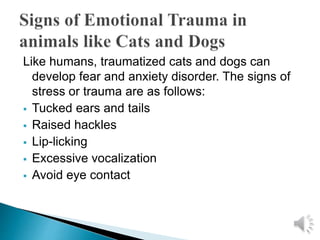 Like humans, traumatized cats and dogs can
develop fear and anxiety disorder. The signs of
stress or trauma are as follows:
 Tucked ears and tails
 Raised hackles
 Lip-licking
 Excessive vocalization
 Avoid eye contact
 
