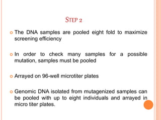 TILLING & Eco-TILLING : Reverse Genetics Approaches for Crop ...