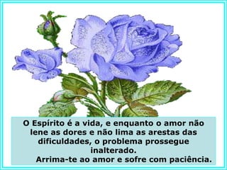 O Espírito é a vida, e enquanto o amor não
 lene as dores e não lima as arestas das
   dificuldades, o problema prossegue
                 inalterado.
   Arrima-te ao amor e sofre com paciência.
 