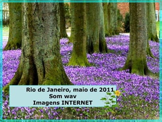 Rio de Janeiro, maio de 2011
        Som wav
  Imagens INTERNET
 