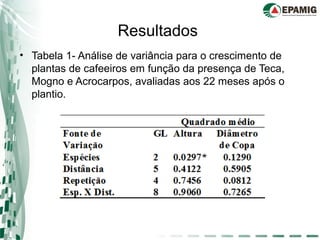Resultados
• Tabela 1- Análise de variância para o crescimento de
plantas de cafeeiros em função da presença de Teca,
Mogno e Acrocarpos, avaliadas aos 22 meses após o
plantio.
 