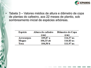 • Tabela 3 – Valores médios de altura e diâmetro de copa
de plantas do cafeeiro, aos 22 meses de plantio, sob
sombreamento inicial de espécies arbóreas.
 
