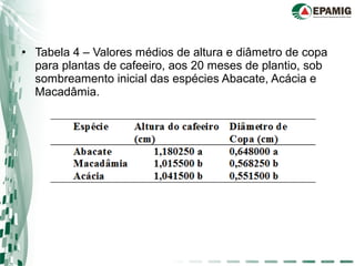 • Tabela 4 – Valores médios de altura e diâmetro de copa
para plantas de cafeeiro, aos 20 meses de plantio, sob
sombreamento inicial das espécies Abacate, Acácia e
Macadâmia.
 