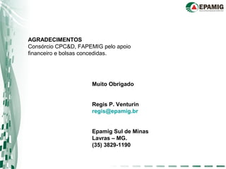 Muito Obrigado
Regis P. Venturin
regis@epamig.br
Epamig Sul de Minas
Lavras – MG.
(35) 3829-1190
AGRADECIMENTOS
Consórcio CPC&D, FAPEMIG pelo apoio
financeiro e bolsas concedidas.
 