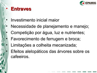 • EntravesEntraves
• Investimento inicial maior
• Necessidade de planejamento e manejo;
• Competição por água, luz e nutrientes;
• Favorecimento de ferrugem e broca;
• Limitações a colheita mecanizada;
• Efeitos alelopáticos das árvores sobre os
cafeeiros.
 