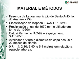 MATERIAL E MÉTODOS
• Fazenda da Lagoa, município de Santo Antônio
do Amparo - MG
• Classificação de Köppen - Cwa,T - 19.8°C .
• Precipitação anual de 1670 mm e altitude em
torno de 1050m.
• Catuaí Vermelho IAC-99 – espaçamento
3,4x0,65m.
• Avaliados : Altura e diâmetro de copa aos 20 e
22 meses de plantio
• 0,7; 1,4; 2,10; 3,40; e 6,4 metros em relação a
espécie arborea.
 