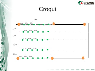 Croqui
 