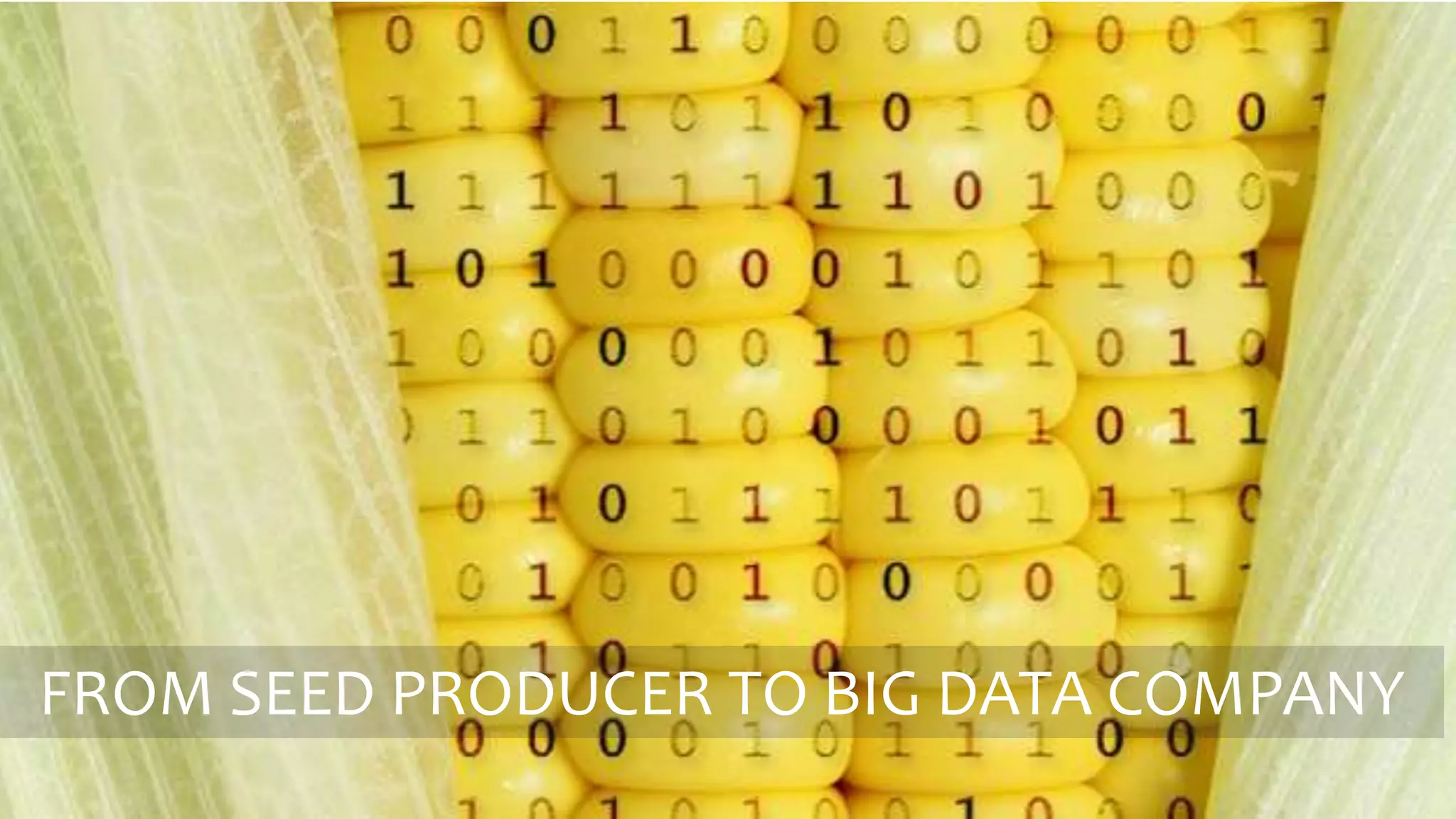 FROM SEED PRODUCER TO BIG DATA COMPANY
 