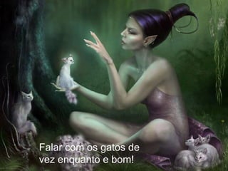Falar com os gatos de vez enquanto e bom!  