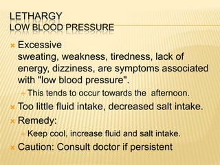 Slow digesting foods last up to 8 hours