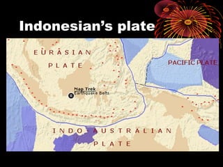Indonesian’s plate
 