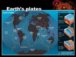 Earth’s plates
 