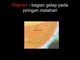 Filamen : bagian gelap pada
piringan matahari
 