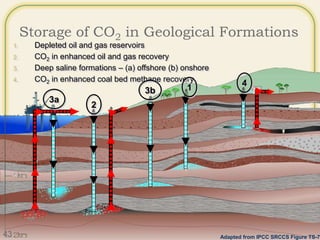 Storage of CO2 in Geological Formations
1. Depleted oil and gas reservoirs
2. CO2 in enhanced oil and gas recovery
3. Deep saline formations – (a) offshore (b) onshore
4. CO2 in enhanced coal bed methane recovery
Adapted from IPCC SRCCS Figure TS-7
3a
2
3b 1 4
43
 
