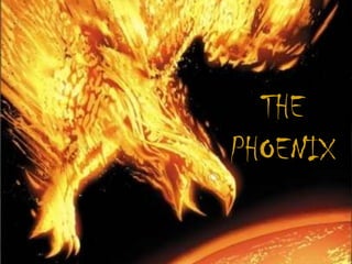 THE
PHOENIX
 