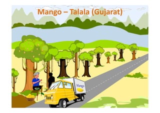 Mango – Talala (Gujarat)
 