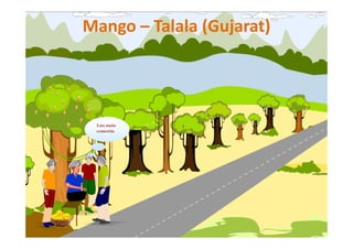 Mango – Talala (Gujarat)
 